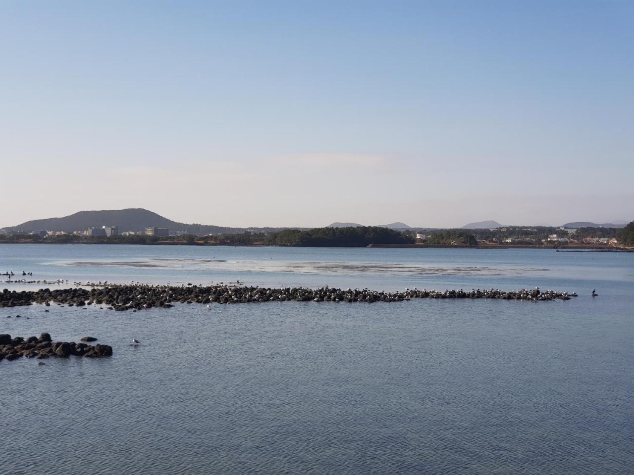 Purmir Pension Seogwipo Esterno foto